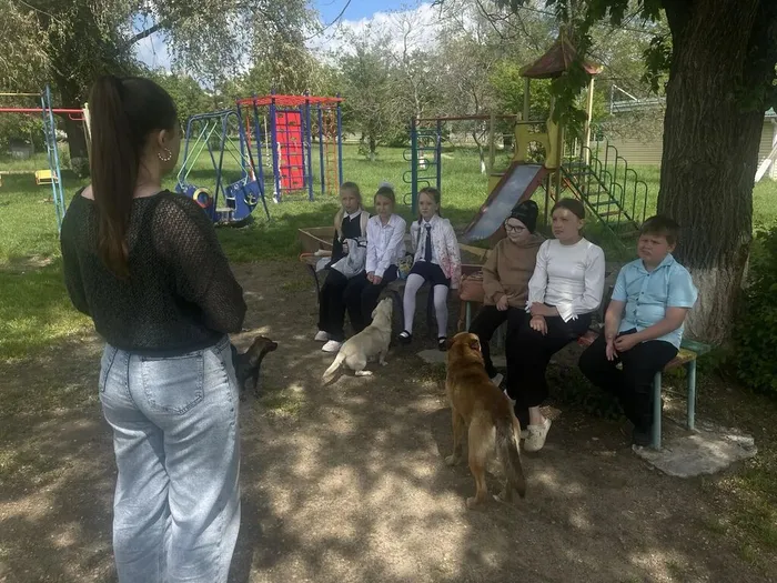 image (18)