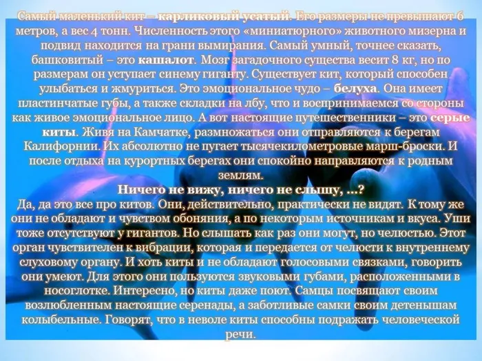 Слайд6