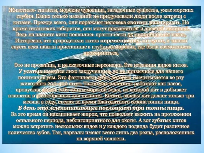Слайд4