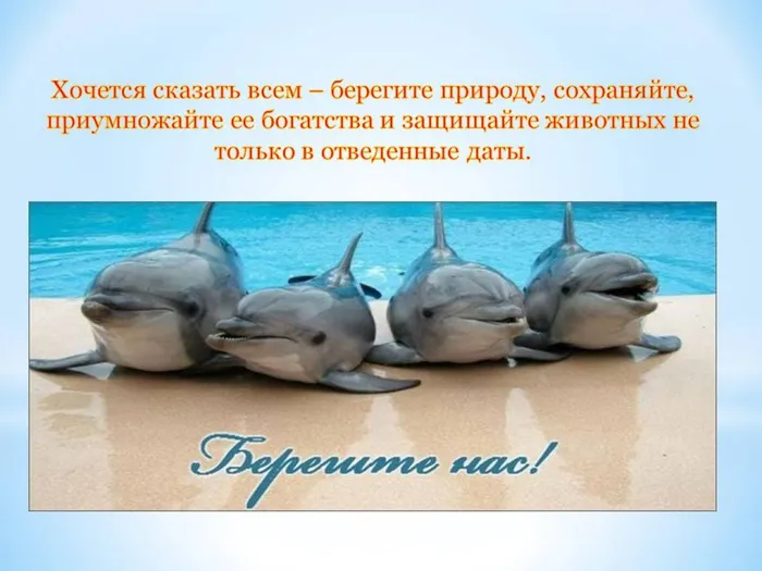 Слайд11