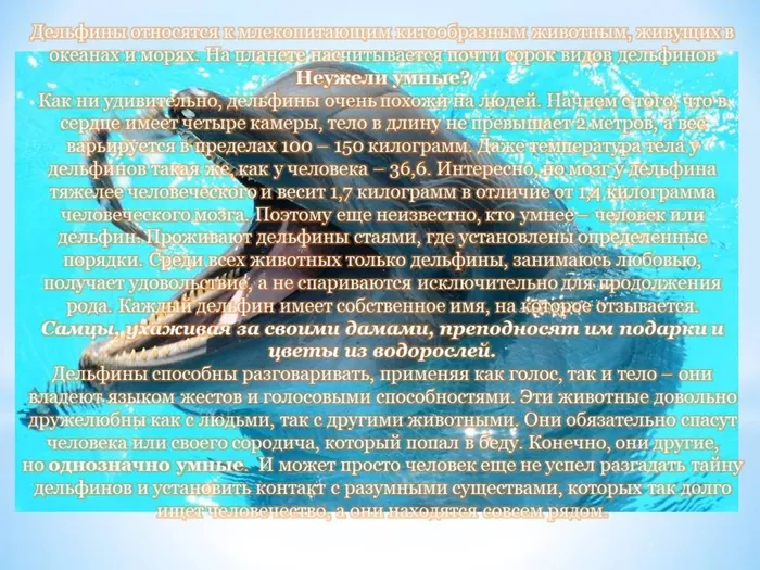 Слайд8