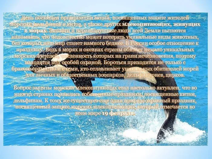 Слайд10