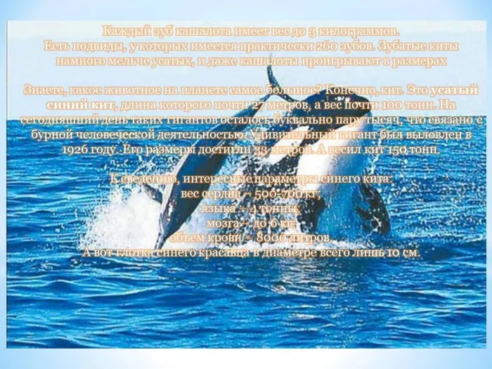 Слайд5