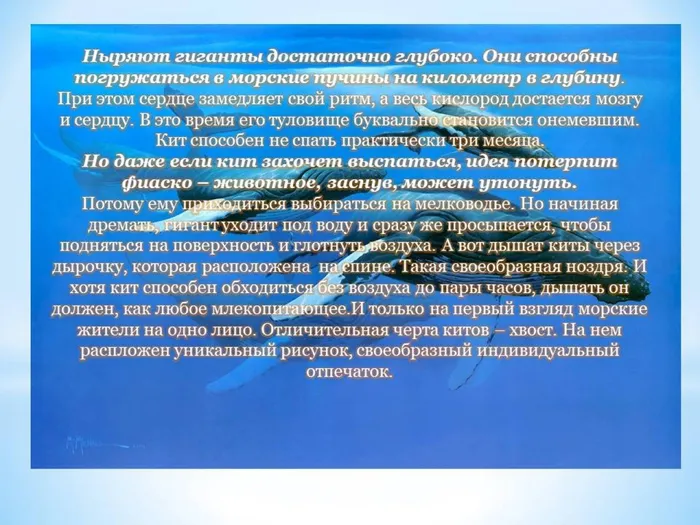 Слайд7