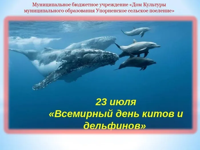 Слайд1
