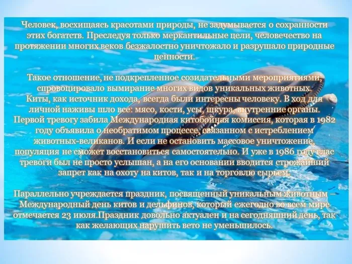 Слайд3